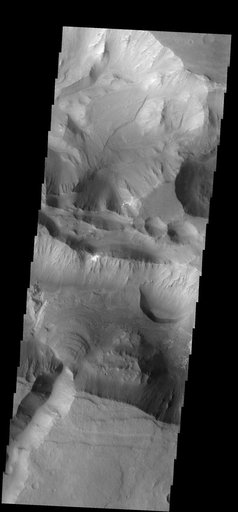 Layered Fan