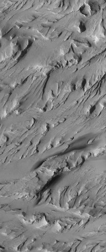 Wind-Eroded Landscape