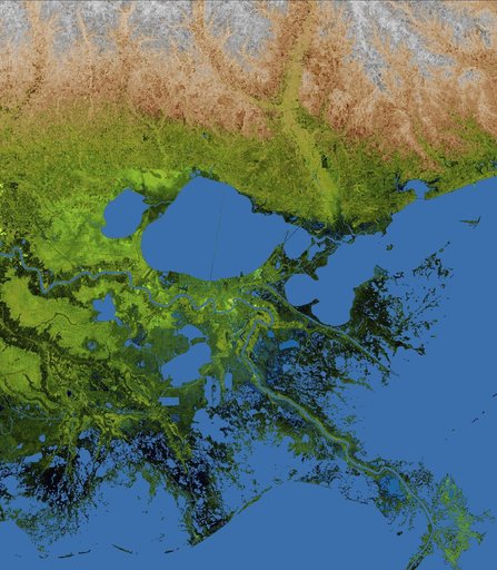 Mississippi Delta, Radar Image with Colored Height