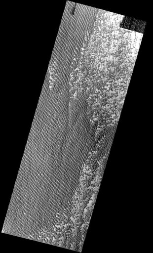 Dunes