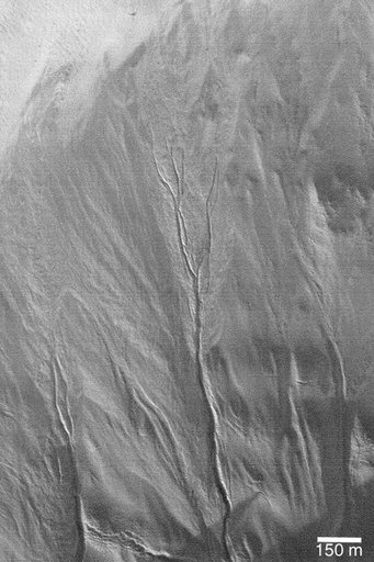 Distributary Channels