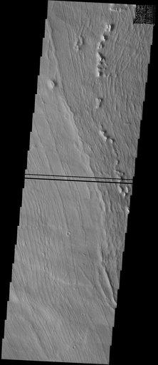 Alpine Glaciers