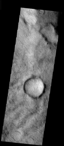 Dust Devils