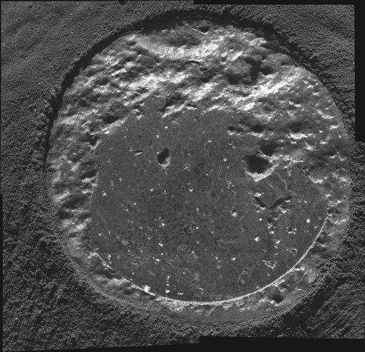 The Biggest Microscopic Image Ever