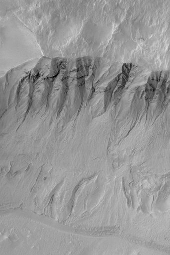 Gullied Slope