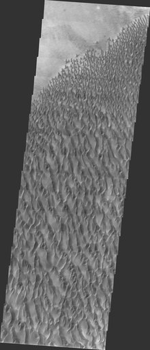 Proctor Crater Dunes