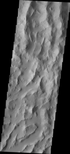 Lycus Sulci