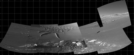 Busy at the Bottom of Endurance Crater