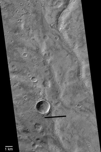 Warrego Valles