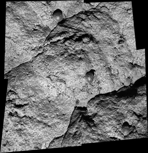 Close-up of Wopmay