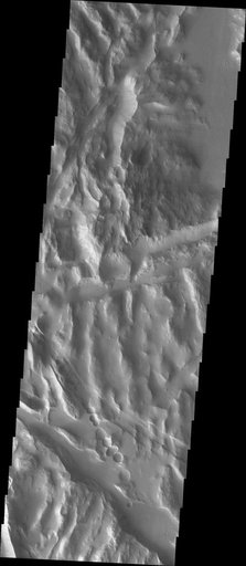Sulci Collapse Pits