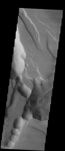 Sulci Collapse Pits