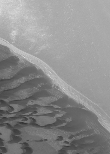 North Polar Scene