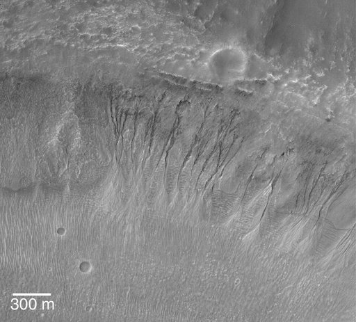 A Gullied Crater Wall