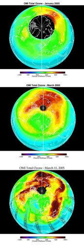 Selected Measurements of Total Arctic Column Ozone Amounts from Aura Ozone Monitoring Instrument, 2004-2005 Arctic Winter