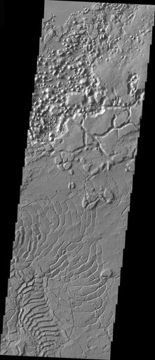 Arcuate Fractures