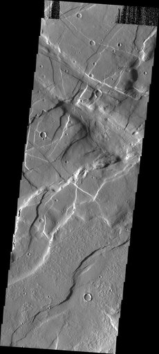 Compounded Fractures