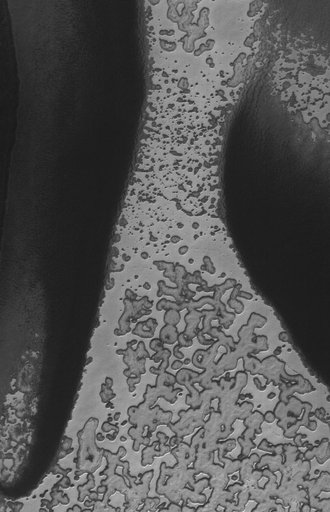 CO<sub><font size=-2>2</font></sub> Hourglass