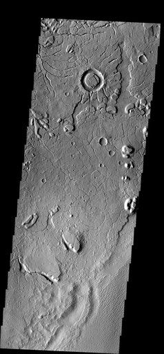 Memnonia Edge
