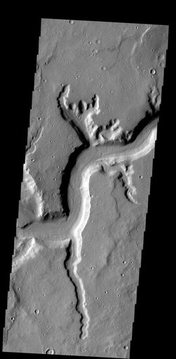 Mamers Vallis