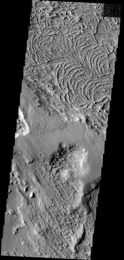 Arcuate Ridges