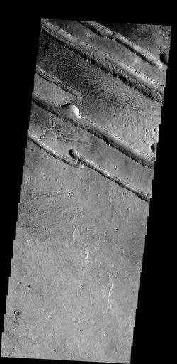 Linear Fractures