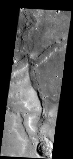 Noachis Terra