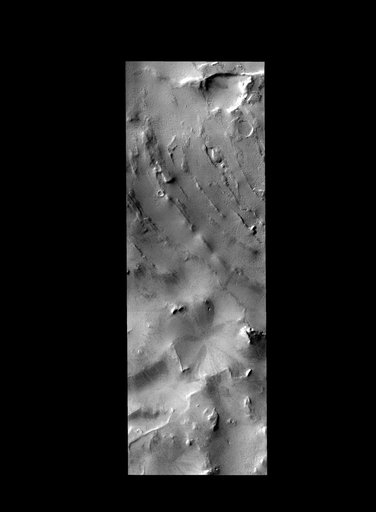 Southern Surface