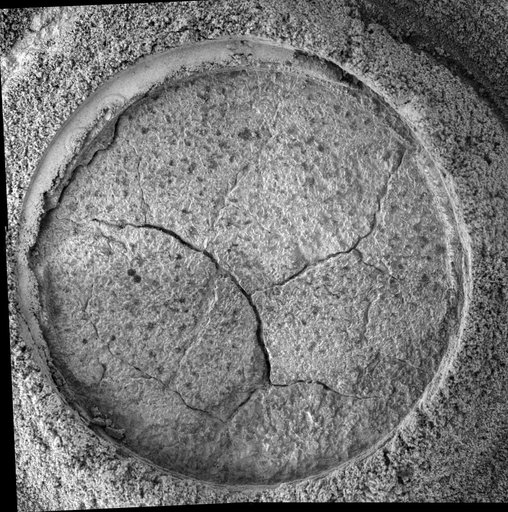 Opportunity Takes a Last Look at Rock Exposure Before Heading to   Victoria CraterMicroscopic Imager View