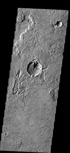 Arcuate Fractures