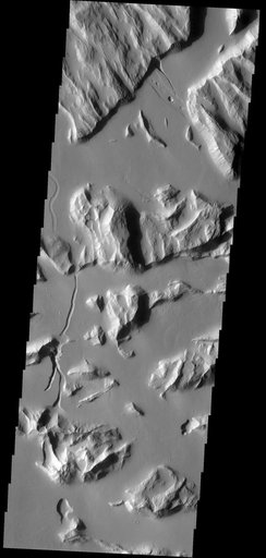 Sulci Gordii