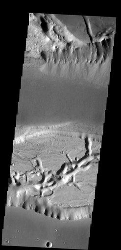 Alluvial Fans