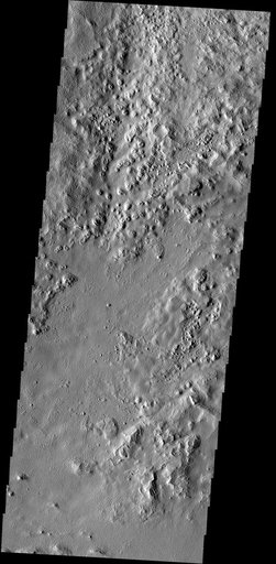 Unusual Texture