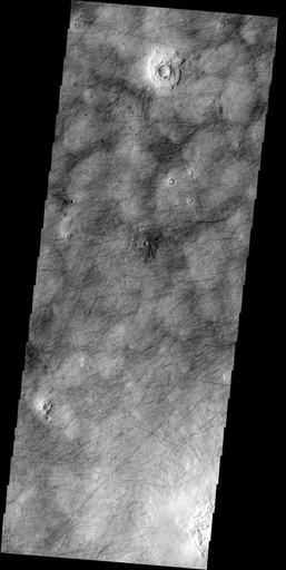 Northern Tracks