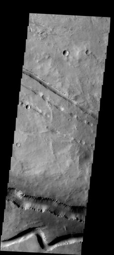 Fracture