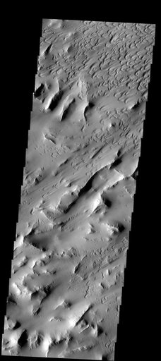 Lycus Sulci