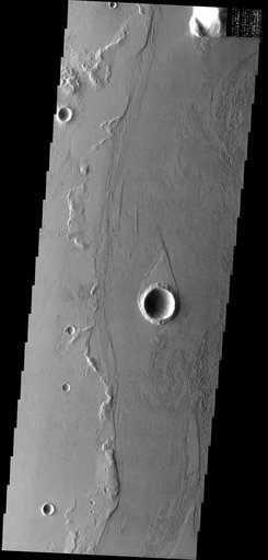 Marte Vallis