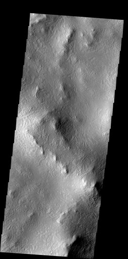 Surface Texture