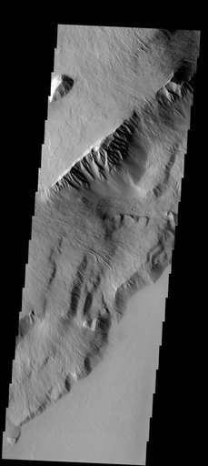Olympus Mons