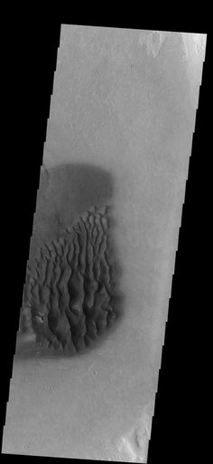 Dunes