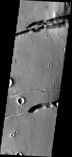 Fractures