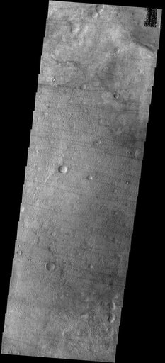 Dust Devil Tracks