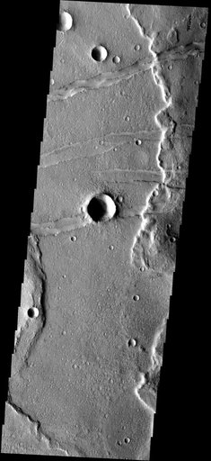 Fractures