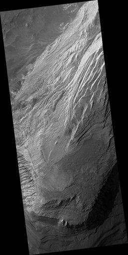 Light Layered Deposits in Valles Marineris
