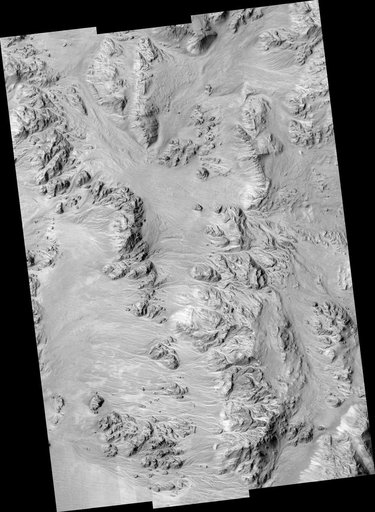 Alluvial Fans in Mojave Crater: Did It Rain on Mars?
