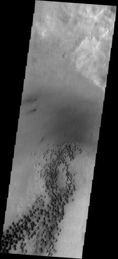 Dunes on Wirtz Crater