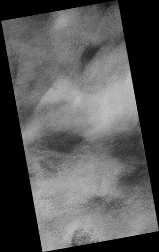 Polygonal Ground with Seasonally Dark Edges
