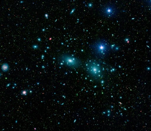 Dwarfs in Coma Cluster