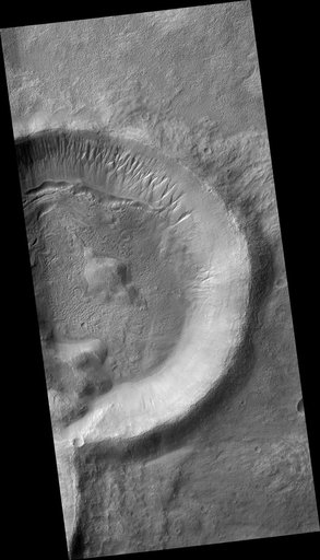 Gullies on the Exterior Wall of a Crater