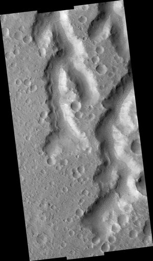 Nanedi Vallis: Tributaries and Albedo Changes